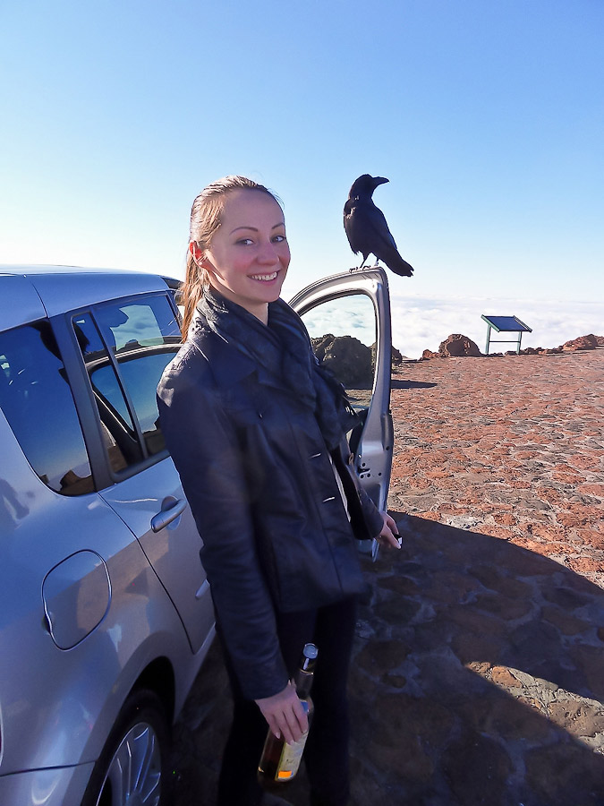 Чёрный ворон