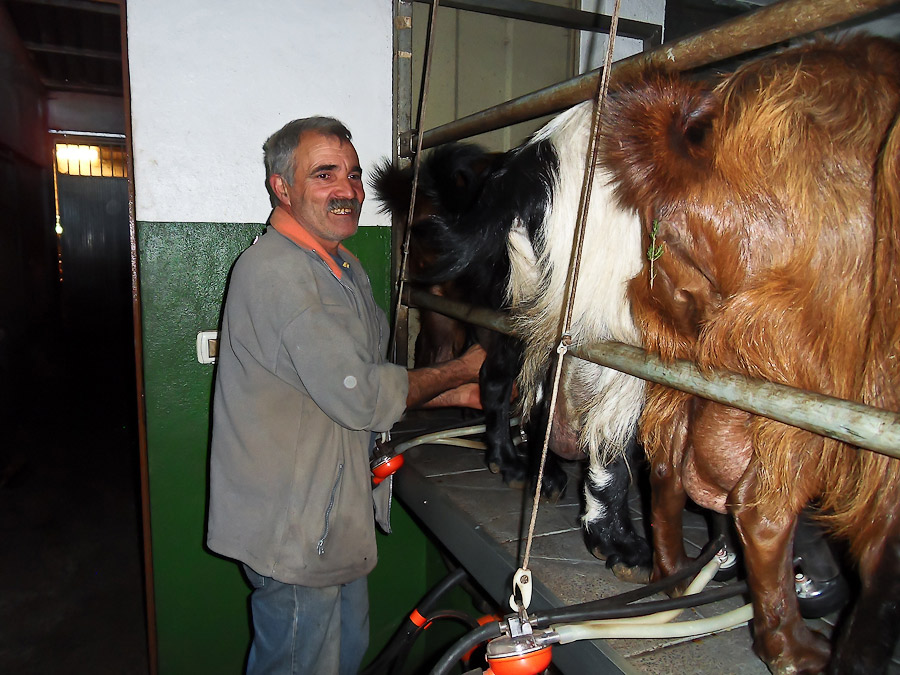 Чёрный ворон