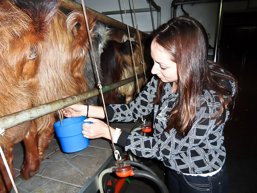 Чёрный ворон